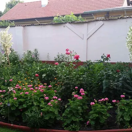 Siofok, Balaton 3 Апартаменты *