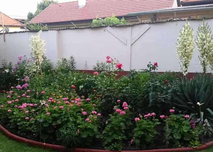 Siofok, Balaton 3 דירה *